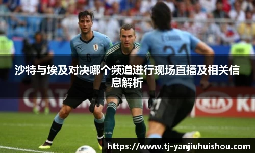 沙特与埃及对决哪个频道进行现场直播及相关信息解析